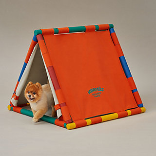 Hermes fashion dog toy